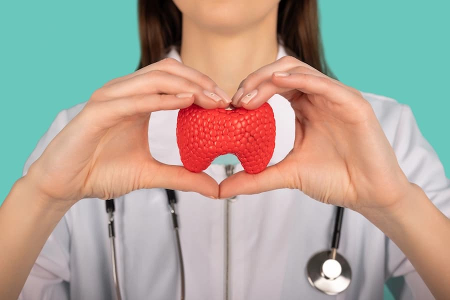 Female doctor holding a thyroid gland