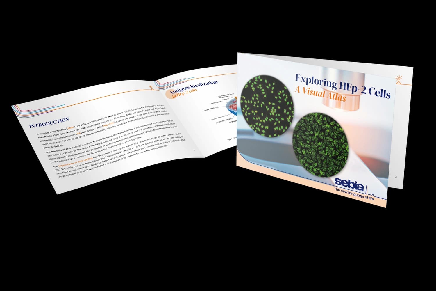 A quick and pocketable guide helping in the daily routine with HEp-2 cells